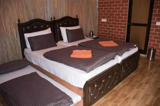 Eco terra serene rishikesh